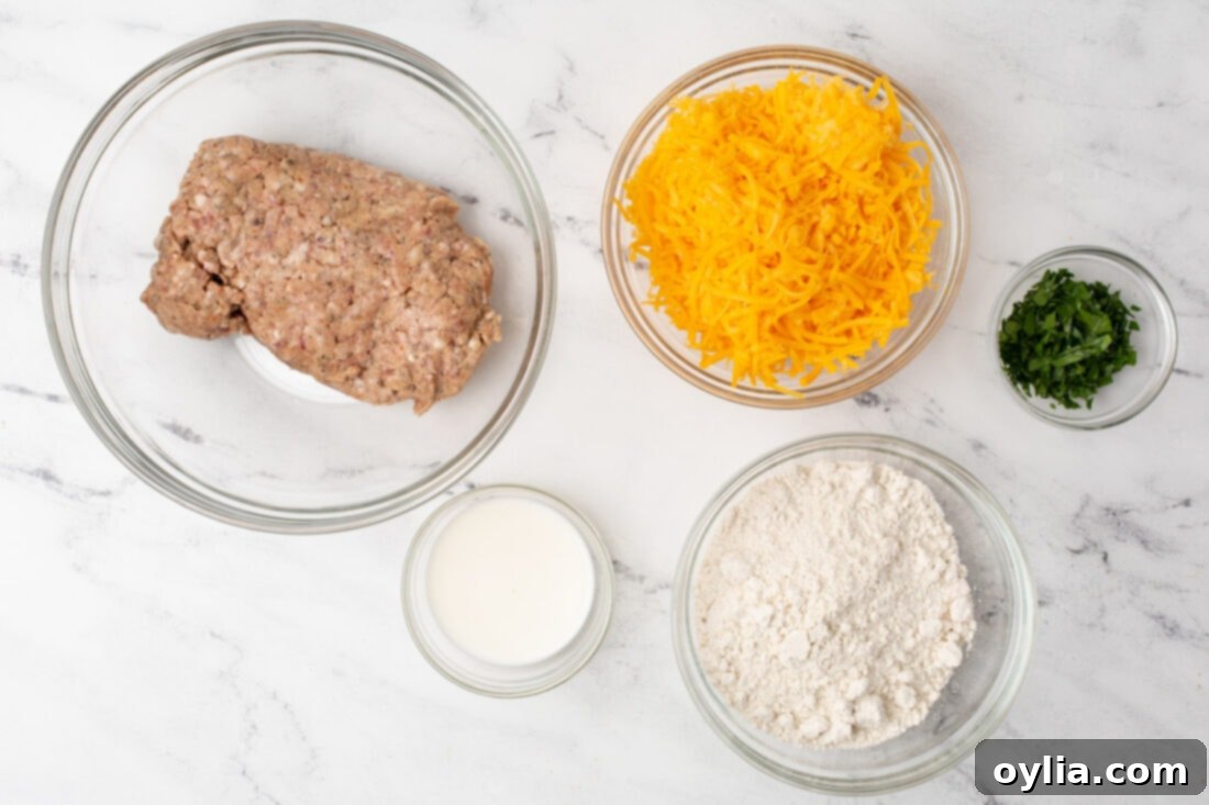 ingredients for Sausage Balls