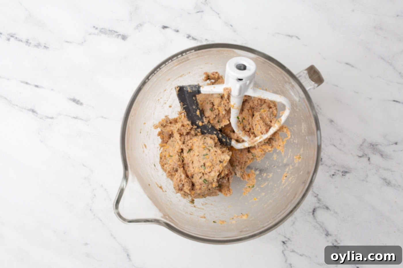 paddle mixer in sausage mixture