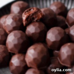Velvet Chocolate Bites 15 Chocolate Truffles