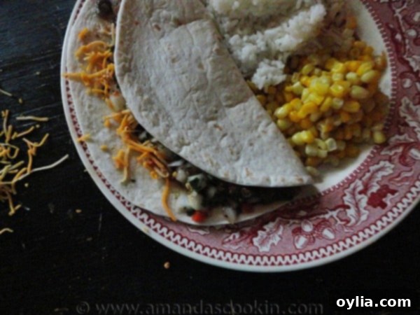 An inviting overhead photo of a delicious steak soft taco presented on a plate, with colorful corn and fluffy rice served on the side, ready for a delightful meal.