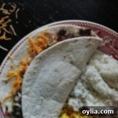 Tender Steak Soft Tacos 2 A beautifully composed overhead photo of a single steak soft taco, resting invitingly on a clean plate, ready to be served.