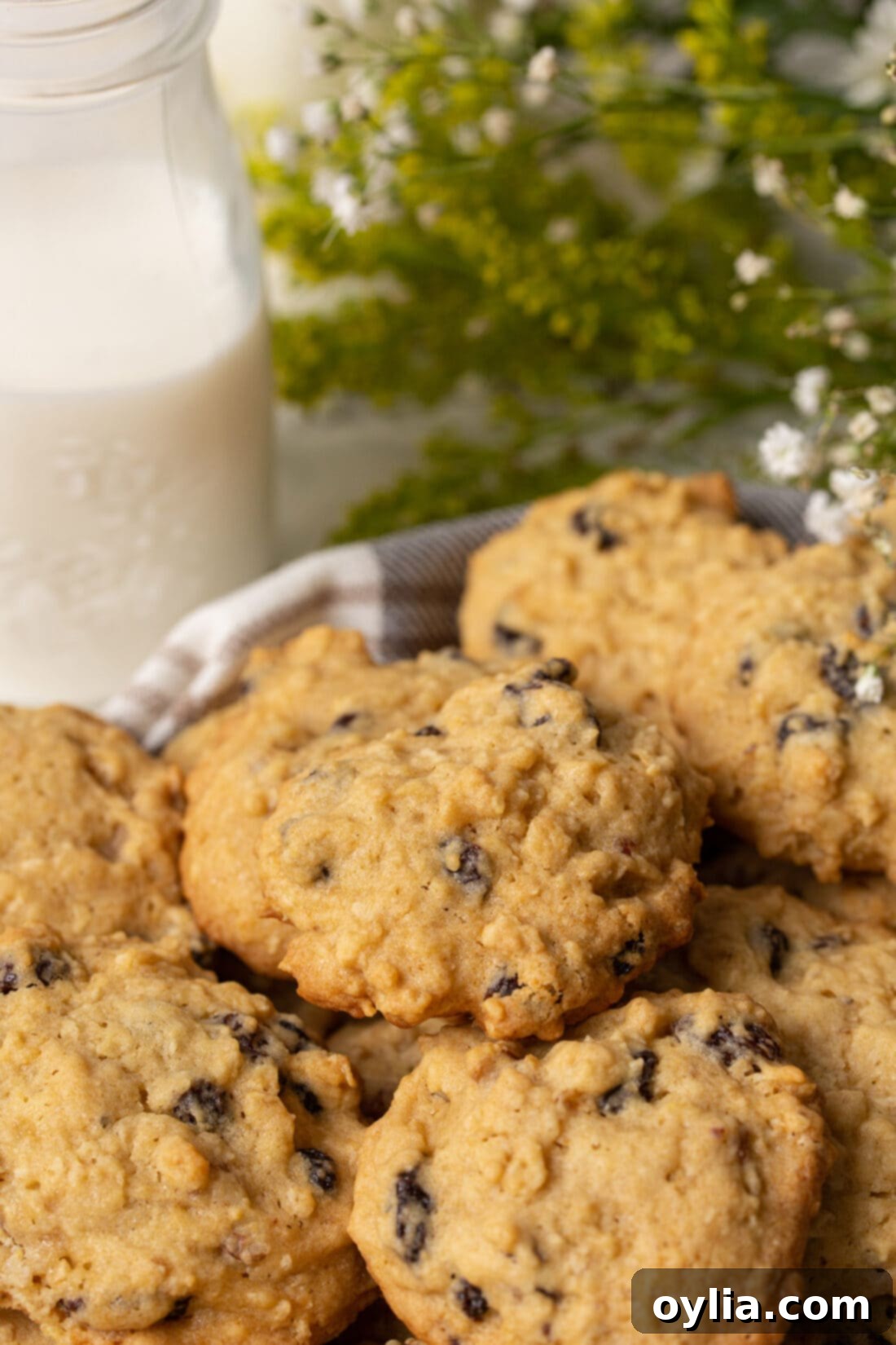 plate of freshly baked oatmeal raisin cookies with a glass of milk