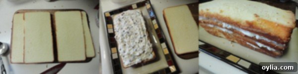 Assembling a Cassata Cake by layering sponge cake and ricotta filling