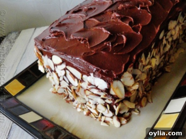 Chocolate cake garnished with sliced almonds on a white serving plate