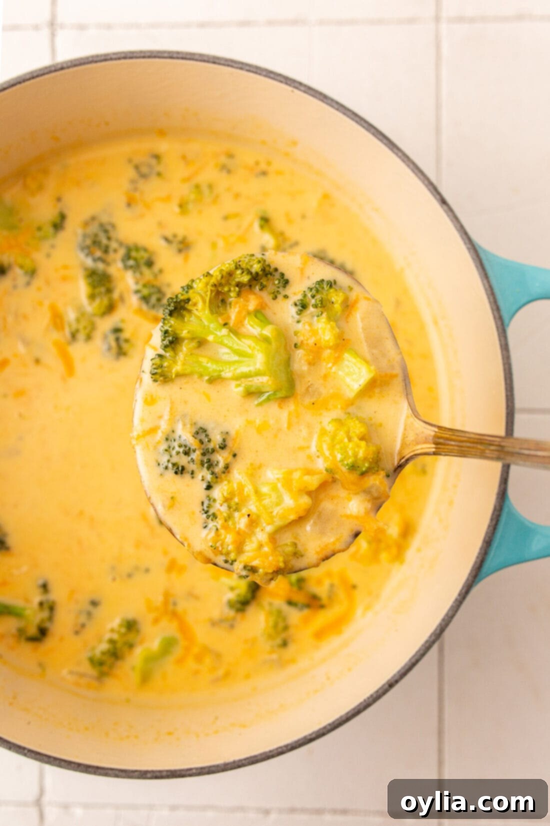 Creamy Cheddar Broccoli Soup 2 ladle of Broccoli Cheese Soup