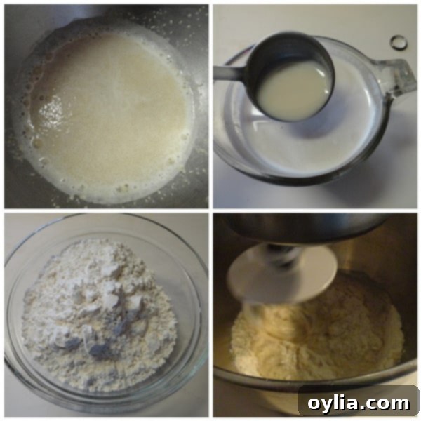 Step-by-step: Preparing pretzel dough with yeast, brown sugar, and warm water