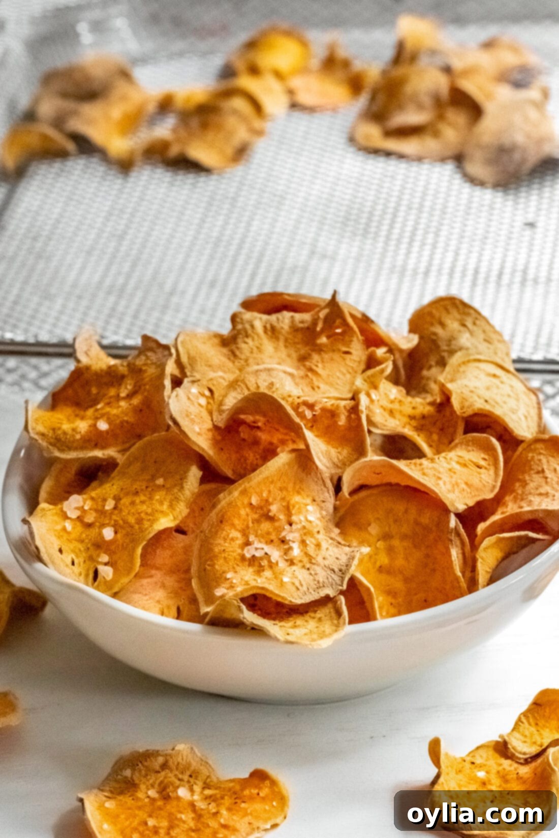 bowl of Air Fryer Sweet Potato Chips