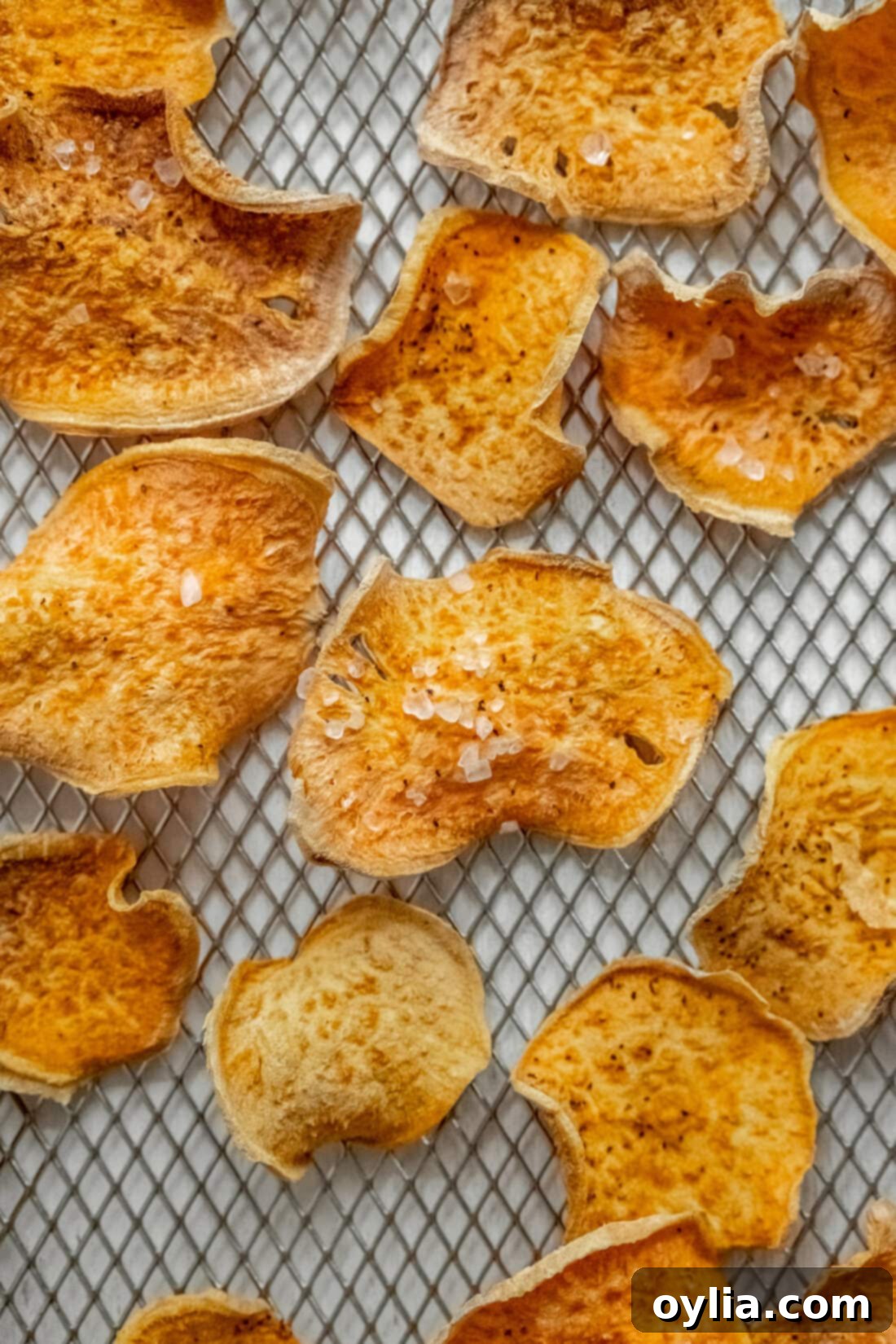 Air Fryer Sweet Potato Chips on a rack