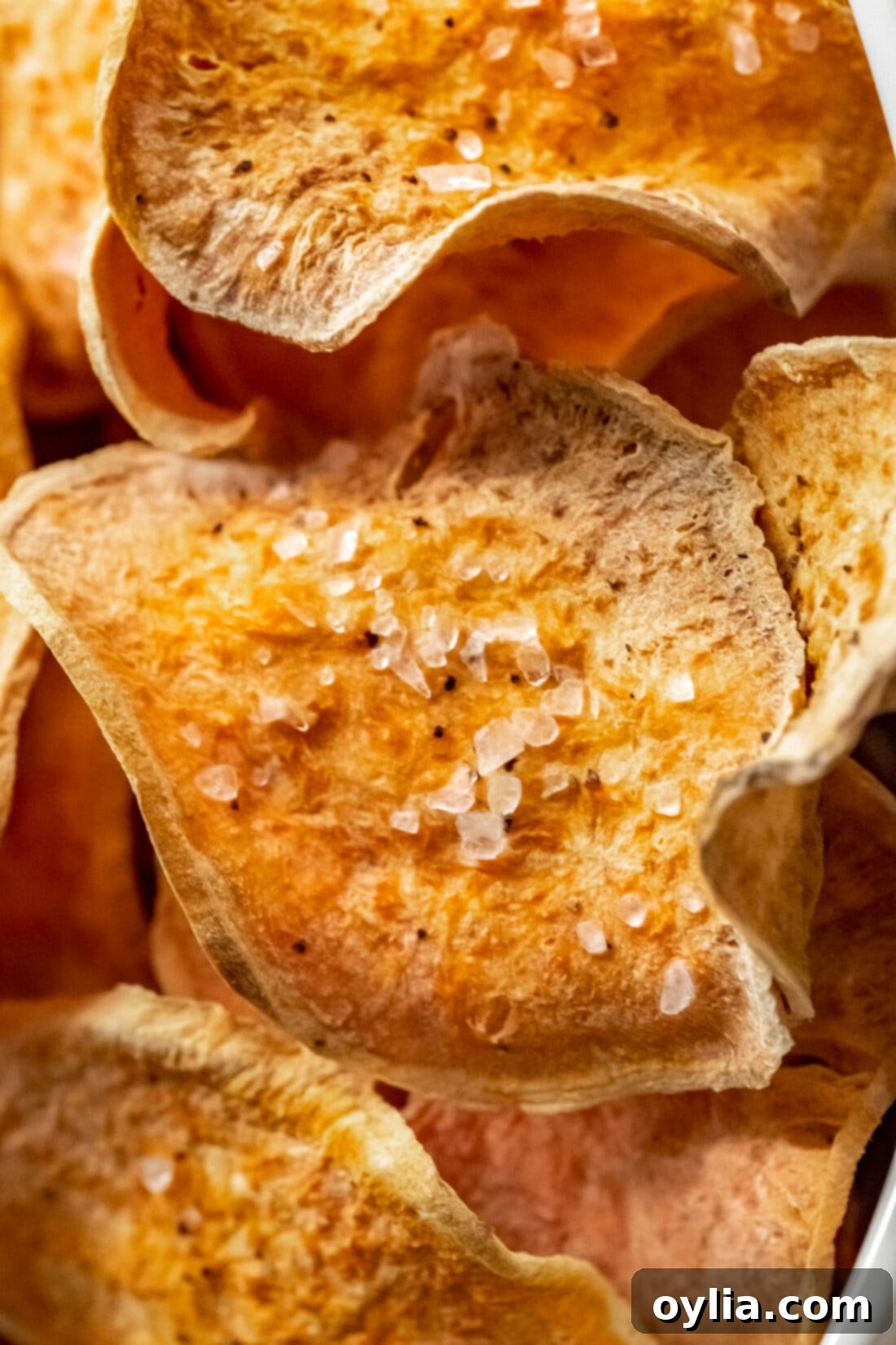 close up of Air Fryer Sweet Potato Chips
