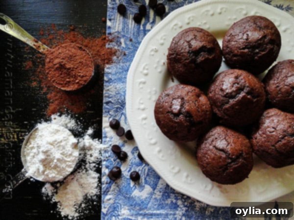 Delicious Starbucks-style Hot Cocoa Chocolate Chip Muffins arranged on a plate.