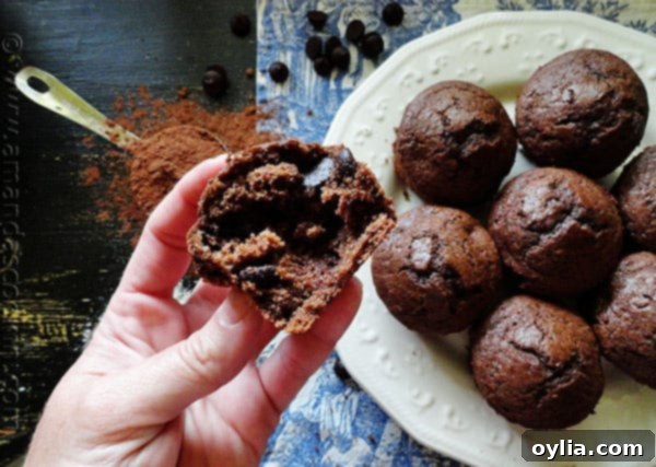 Freshly baked Hot Cocoa Chocolate Chip Muffins, showing their rich chocolate filling.