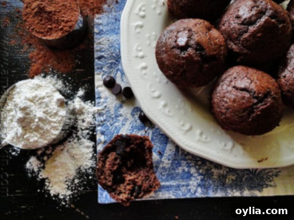 A close-up shot of the interior of a Hot Cocoa Chocolate Chip Muffin, showing its moist texture.