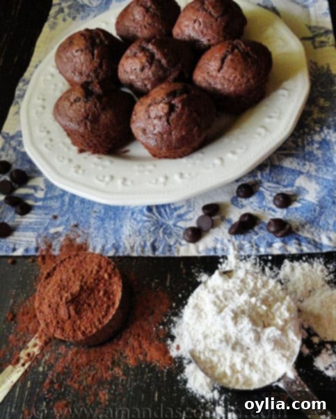 A single Hot Cocoa Chocolate Chip Muffin on a cooling rack, perfectly golden brown.