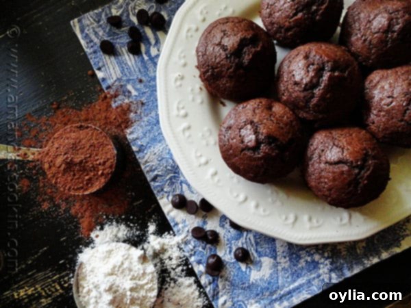 An overhead photo of Starbuck's hot cocoa chocolate chip muffins on a white plate with cocoa and flour to the side, showcasing their appeal.