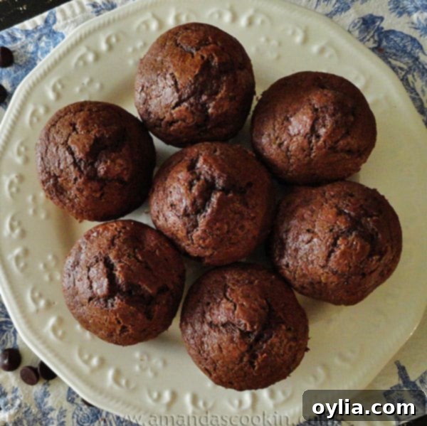 An overhead photo of copycat Starbuck's hot cocoa chocolate chip muffins on a white plate, ready to be enjoyed.