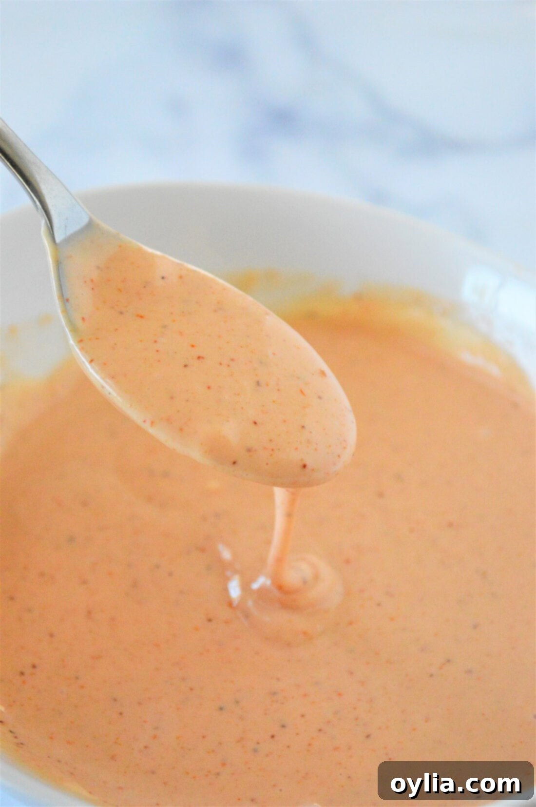 A close-up shot of French Fry Sauce on a spoon, ready to be enjoyed.