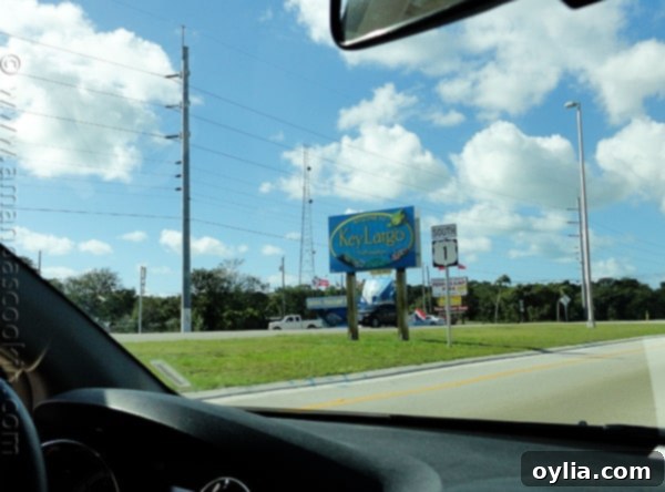 A serene view of Key Largo, Florida, where the author and family explored