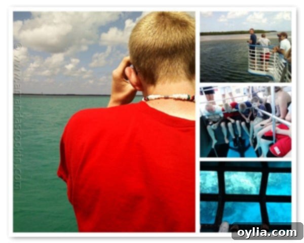 Glass bottom boat tour, showing a mosaic of marine life beneath the ocean surface