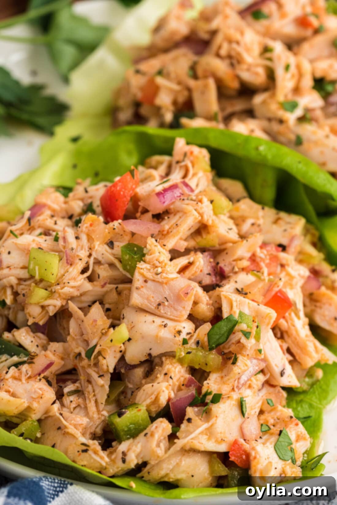 Cajun Chicken Salad on lettuce
