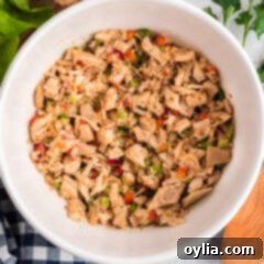 Zesty Cajun Chicken Salad 11 Cajun Chicken Salad