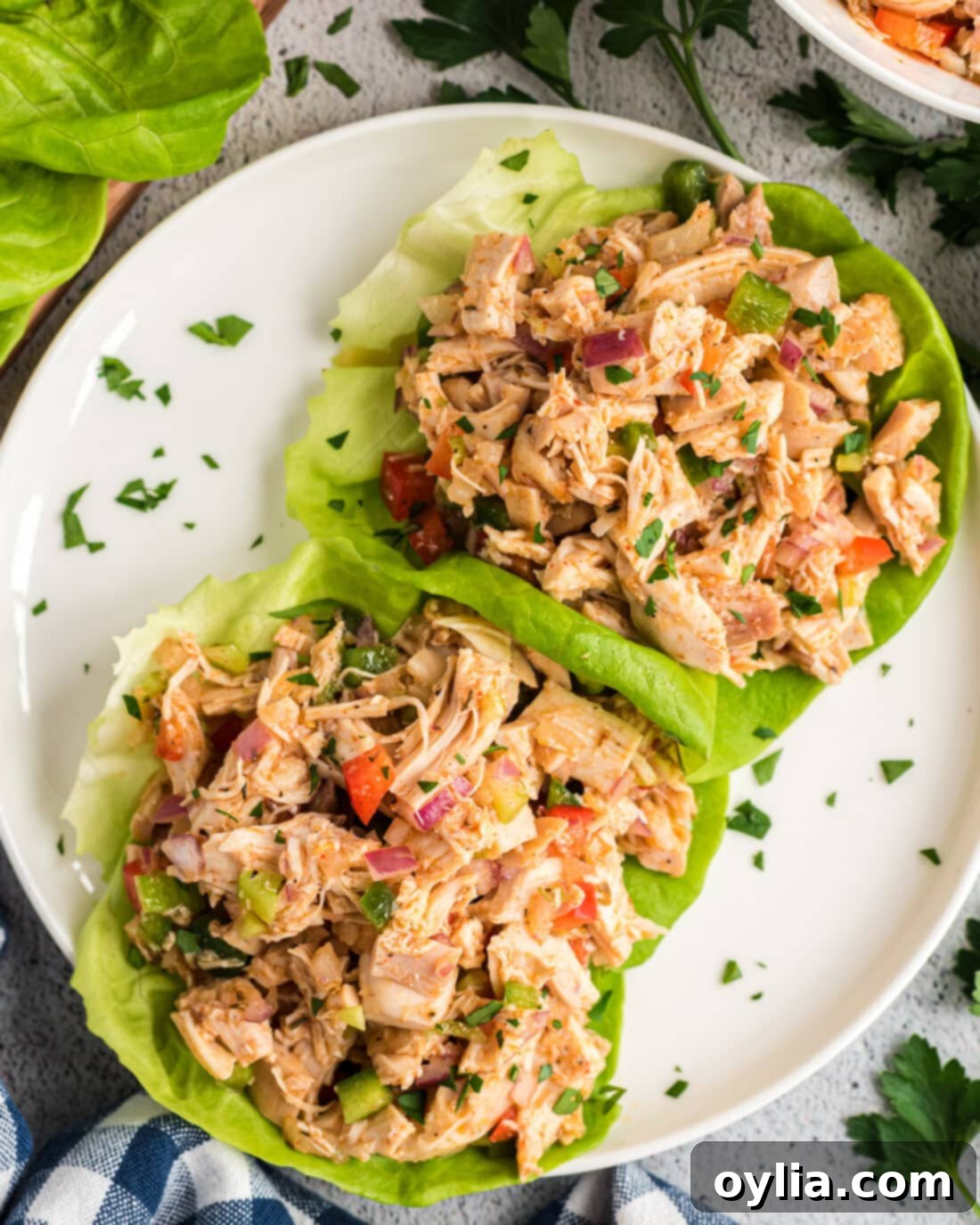 Zesty Cajun Chicken Salad 10 Cajun Chicken Salad on lettuce beds