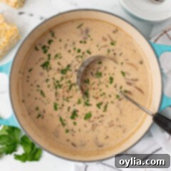 Velvety Mushroom Delight 11 Cream of Mushroom Soup
