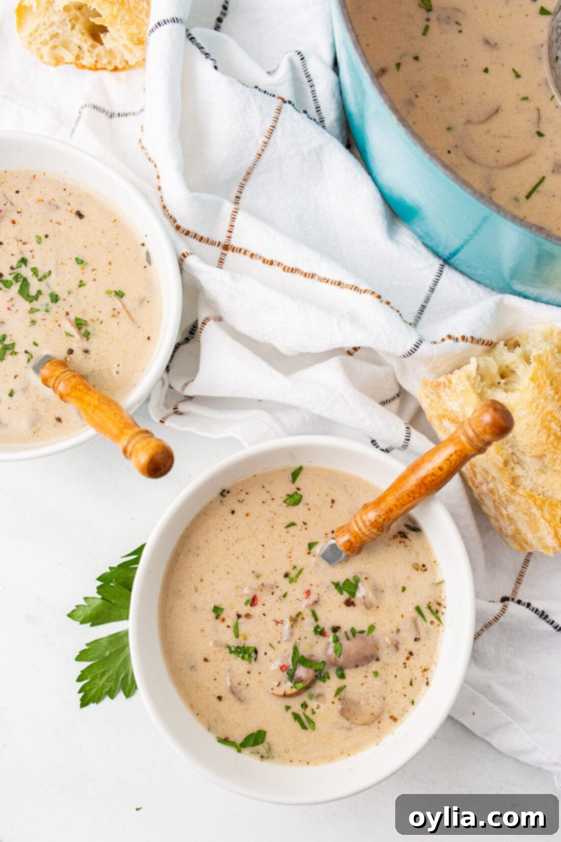 Velvety Mushroom Delight 3 bowl of Cream of Mushroom Soup