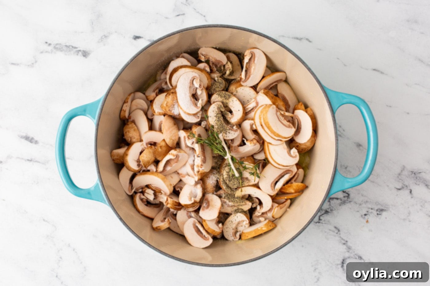 Velvety Mushroom Delight 6 mushroom and seasonings in a large dutch oven