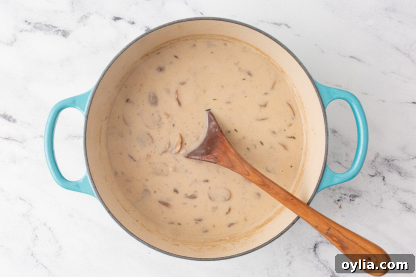 Velvety Mushroom Delight 9 cream of mushroom soup in a dutch oven