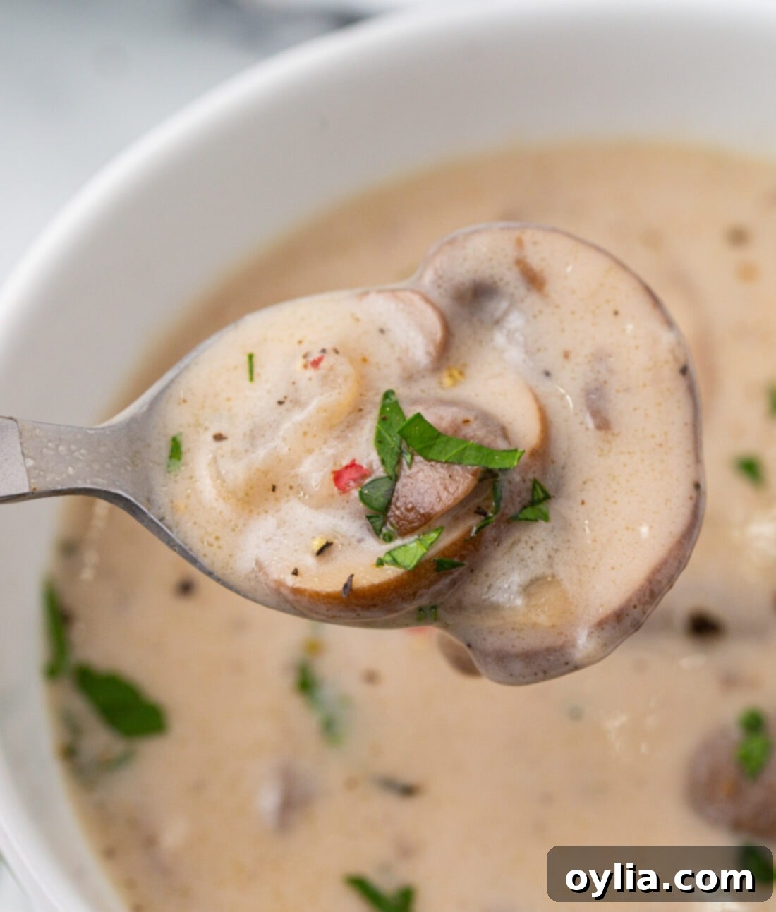 Velvety Mushroom Delight 10 spoon of Cream of Mushroom Soup