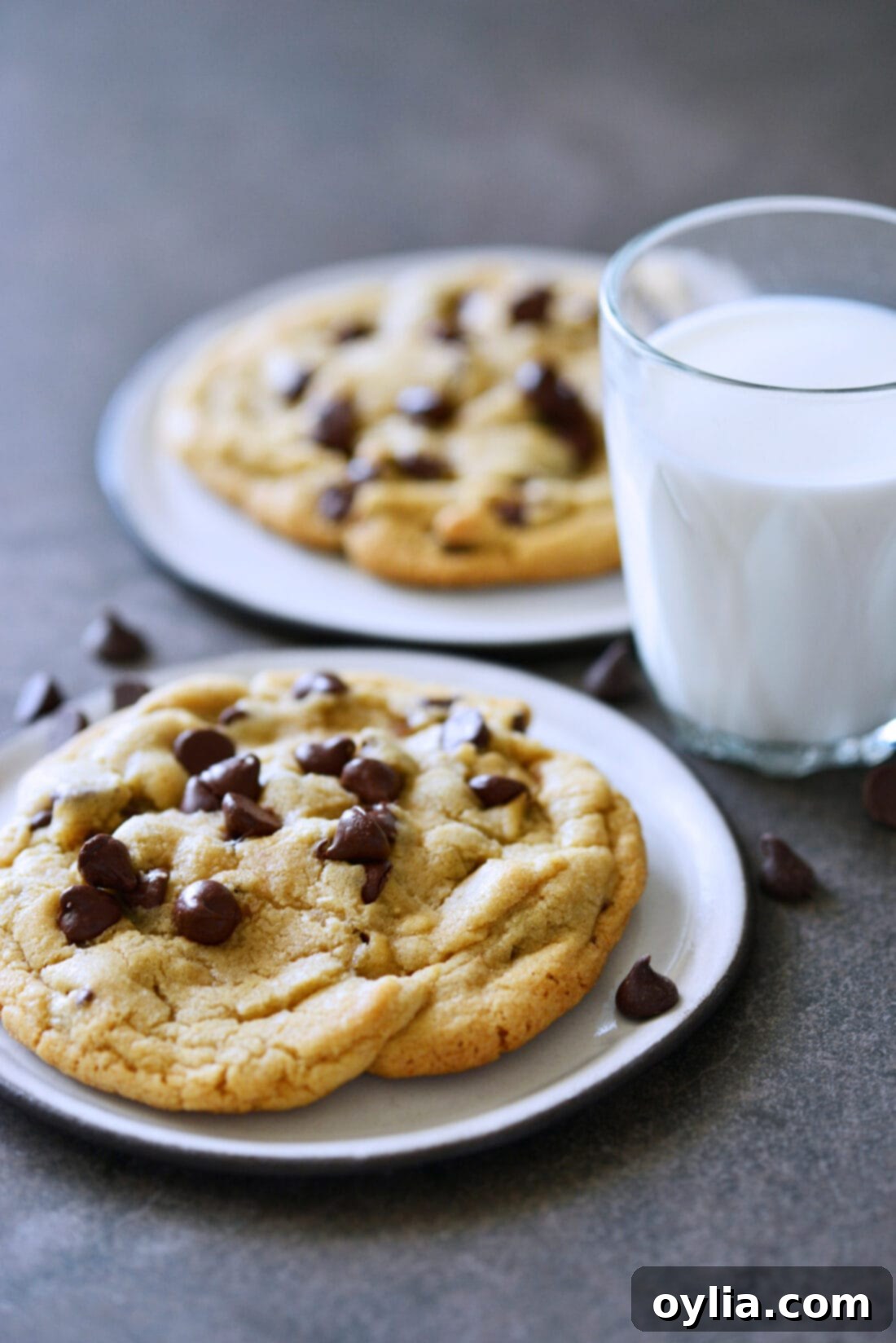 two chocolate chip cookies wit hmilk