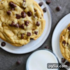 Chocolate Chip Cookies for Two
