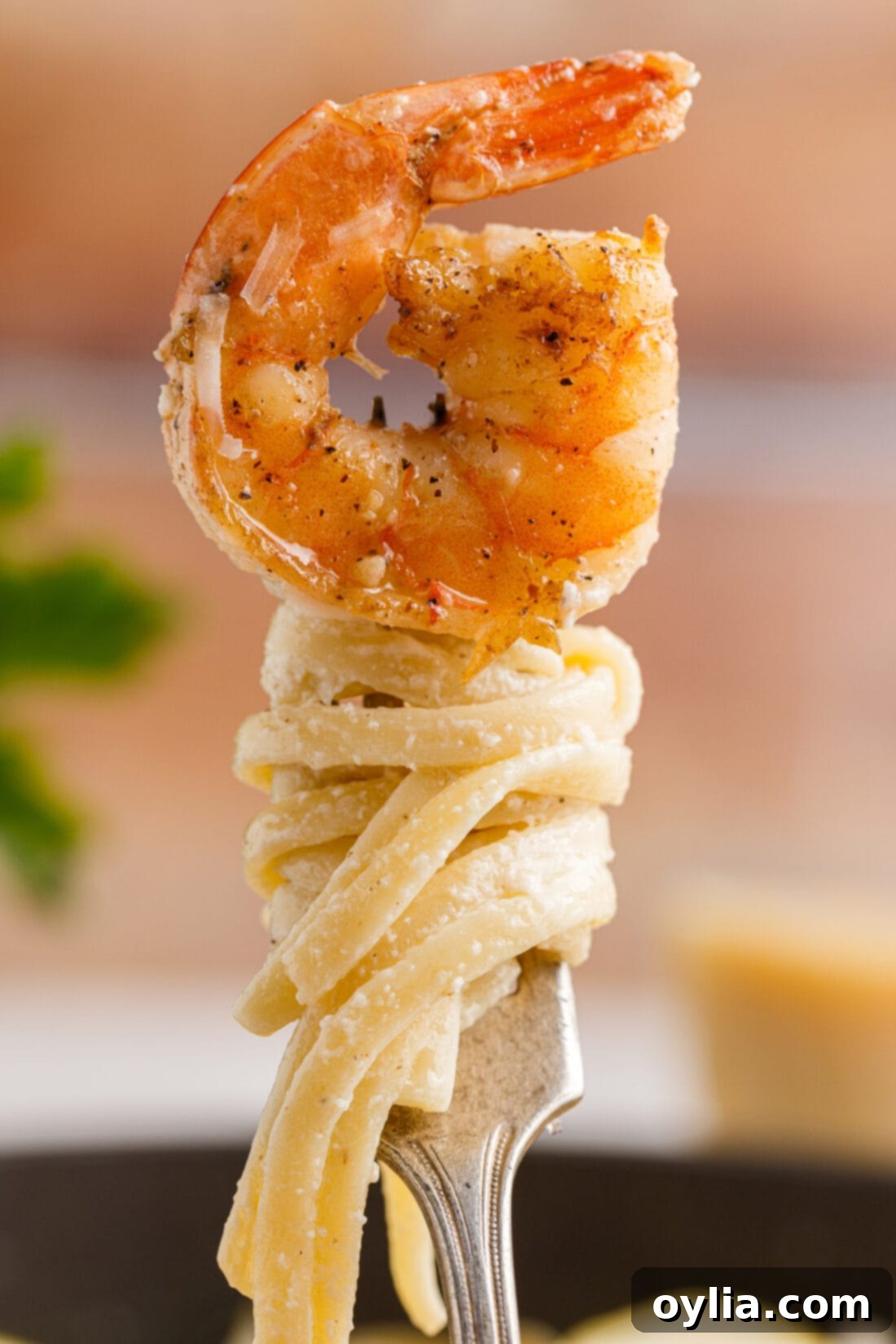 Zesty Garlic Shrimp Pasta 15 Shrimp Pasta on a fork, showing the texture of the noodles and shrimp.