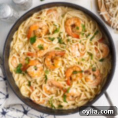 Zesty Garlic Shrimp Pasta 16 Shrimp Pasta