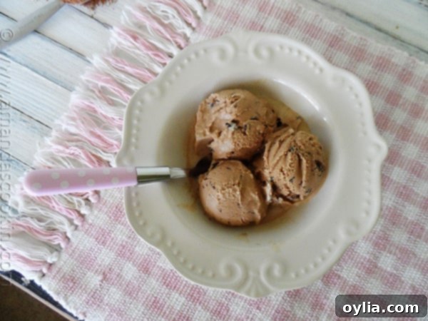 An overhead photo showing three generous scoops of rich, creamy homemade Mocha Chocolate Chip Ice Cream in a pristine white bowl, garnished with a spoon, highlighting the irregular chocolate shards.