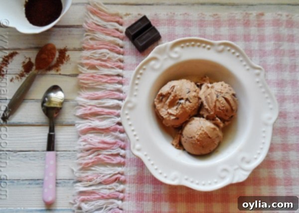 A close-up, overhead view of three scoops of creamy, perfectly textured Mocha Chocolate Chip Ice Cream in a white bowl with a spoon, showing the delicate chocolate flakes.