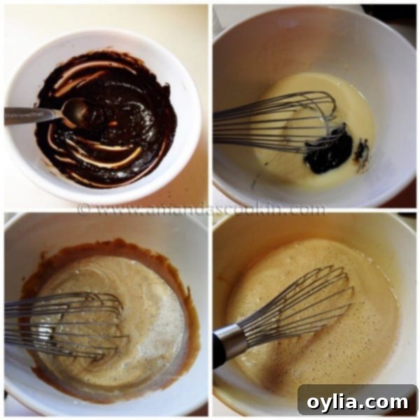 A collage of four step-by-step images detailing the process of making homemade Mocha Chocolate Chip Ice Cream, including mixing the base and demonstrating the stracciatella drizzle technique.