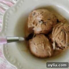 A scoop of homemade Mocha Chocolate Chip Ice Cream garnished with a chocolate curl, ready to be served.