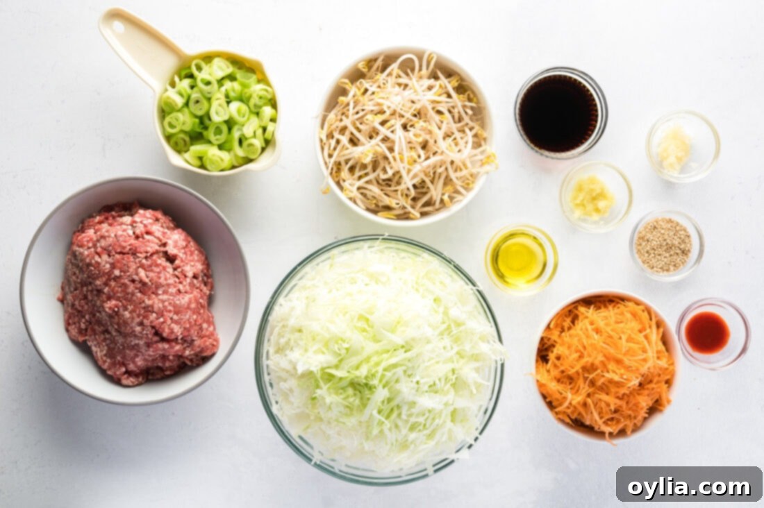 Inside Out Egg Roll 4 All ingredients laid out for Egg Roll in a Bowl preparation