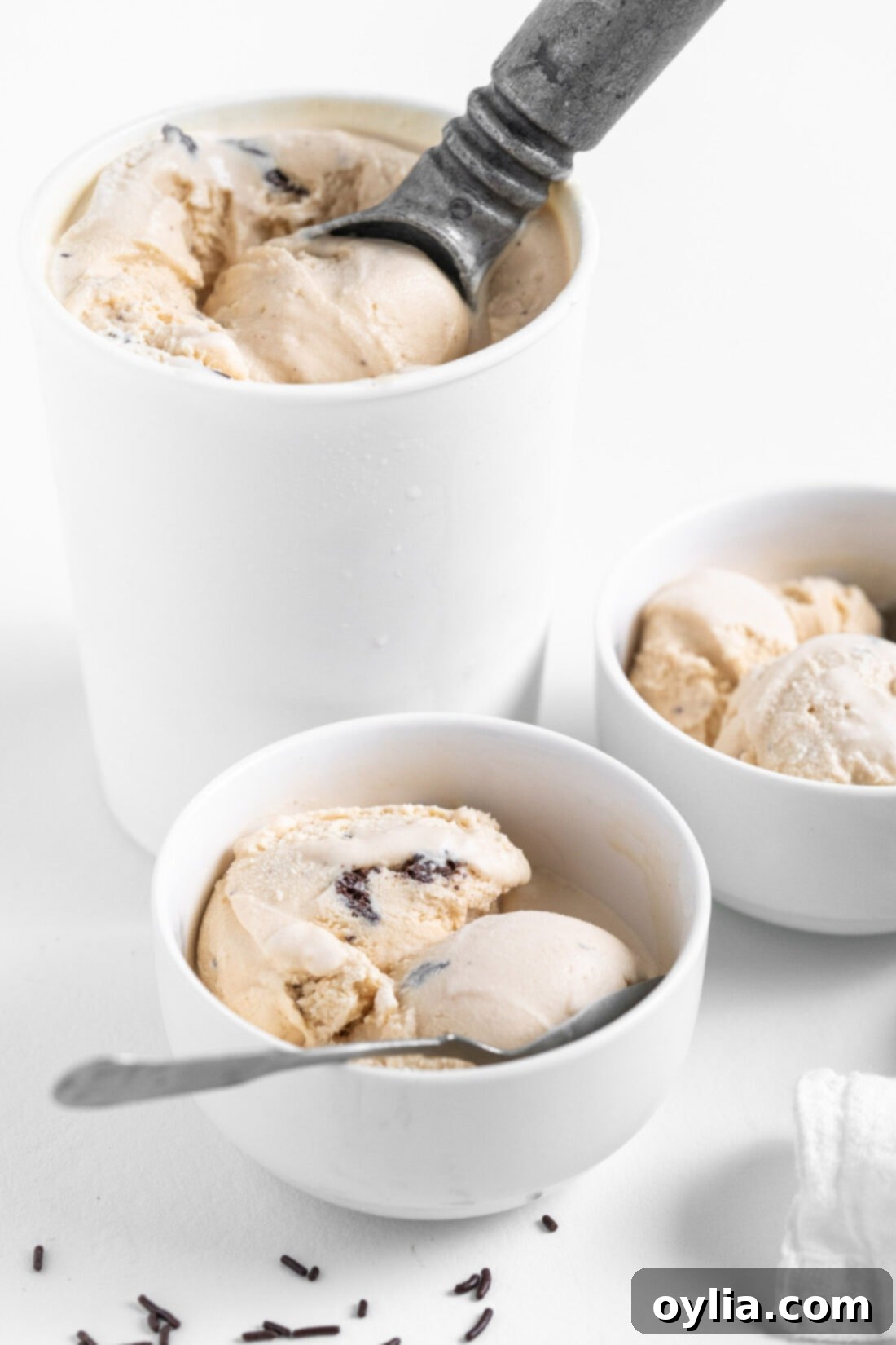 A beautiful bowl of rich and creamy Homemade Peanut Butter Chocolate Chip Ice Cream, ready to be enjoyed.