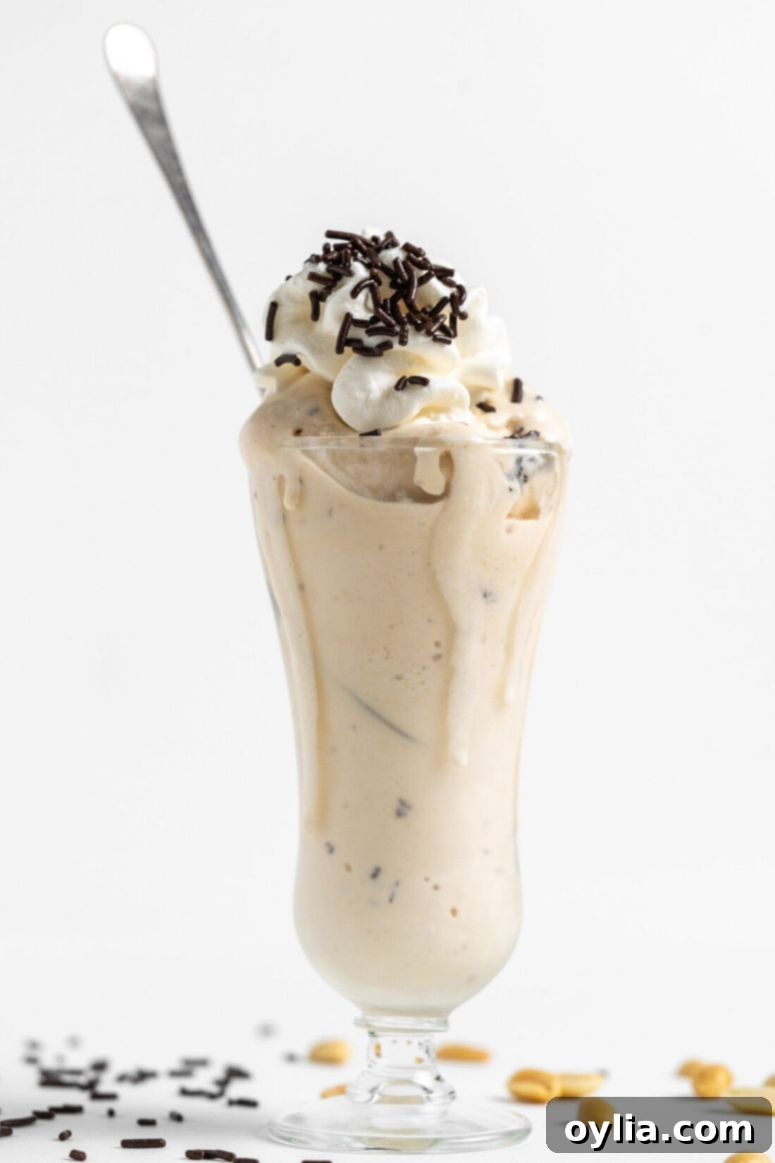 A sundae glass filled with perfectly scooped Peanut Butter Chocolate Chip Ice Cream, topped with a few extra chocolate bits.