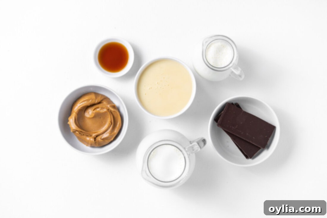A flat lay photograph showcasing all the fresh ingredients needed to make Peanut Butter Chocolate Chip Ice Cream: sweetened condensed milk, peanut butter, half and half, heavy whipping cream, vanilla extract, and bittersweet chocolate.