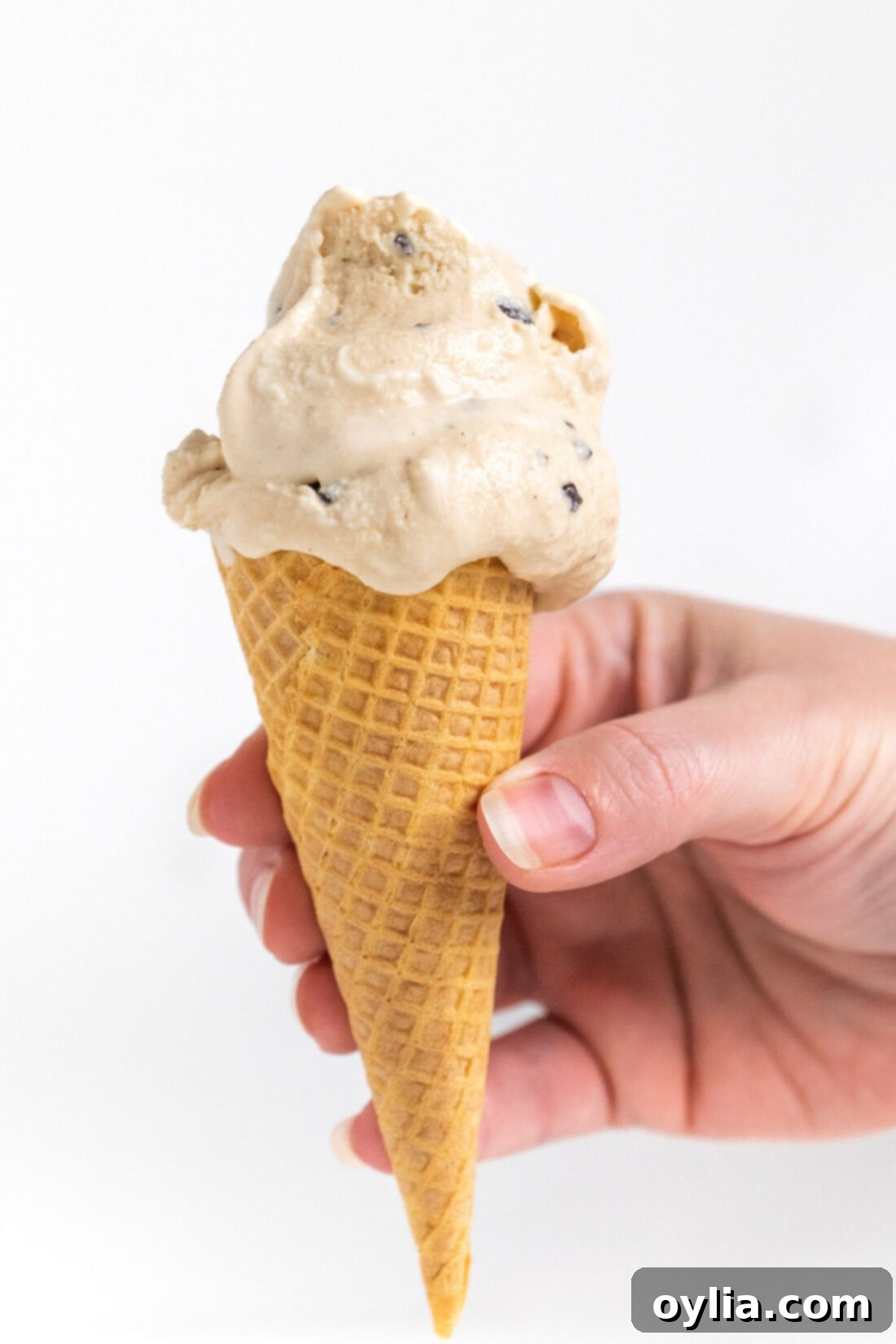 A scoop of rich Peanut Butter Chocolate Chip Ice Cream in a waffle cone, garnished with extra chocolate flakes.