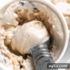 Peanut Butter Chocolate Chip Ice Cream in a bowl with a spoon.