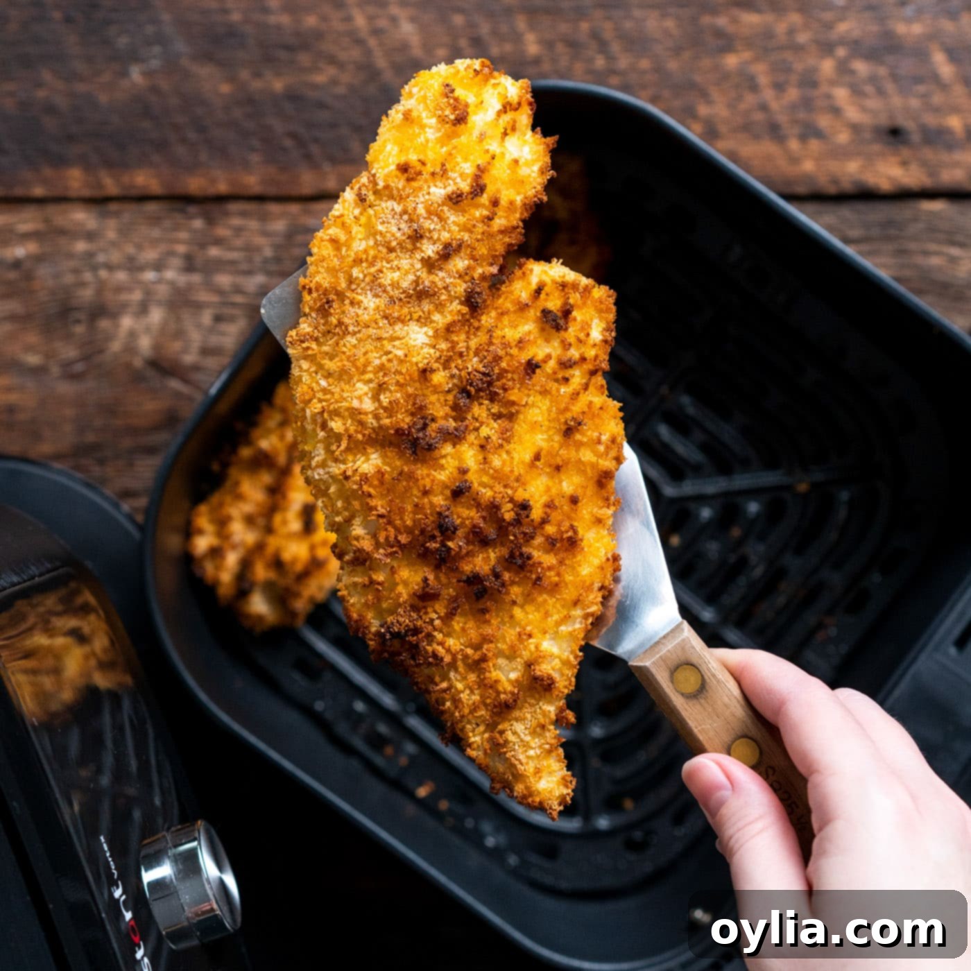 cooked air fryer fish