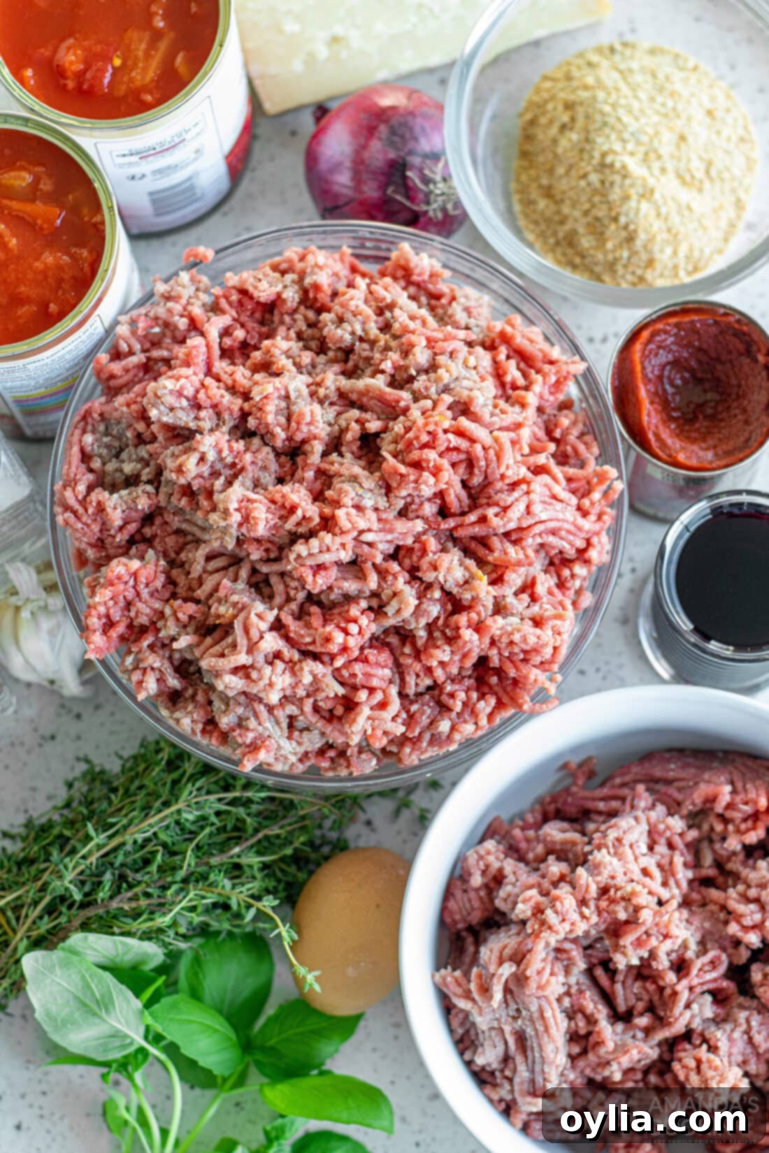 Classic Spaghetti and Meatballs 4 ingredients to make Spaghetti & Meatballs in Marinara