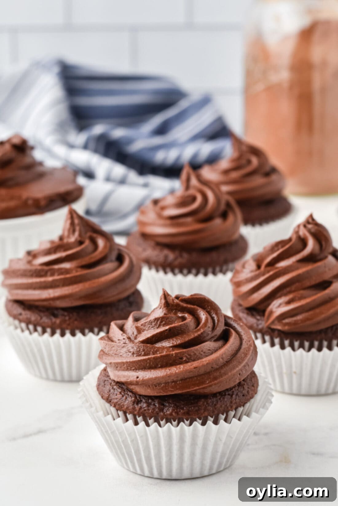 Decadent Chocolate Fudge Frosting 7 Three chocolate frosted cupcakes beautifully decorated, ready to be served.