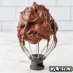 Decadent Chocolate Fudge Frosting 8 Chocolate Fudge Frosting