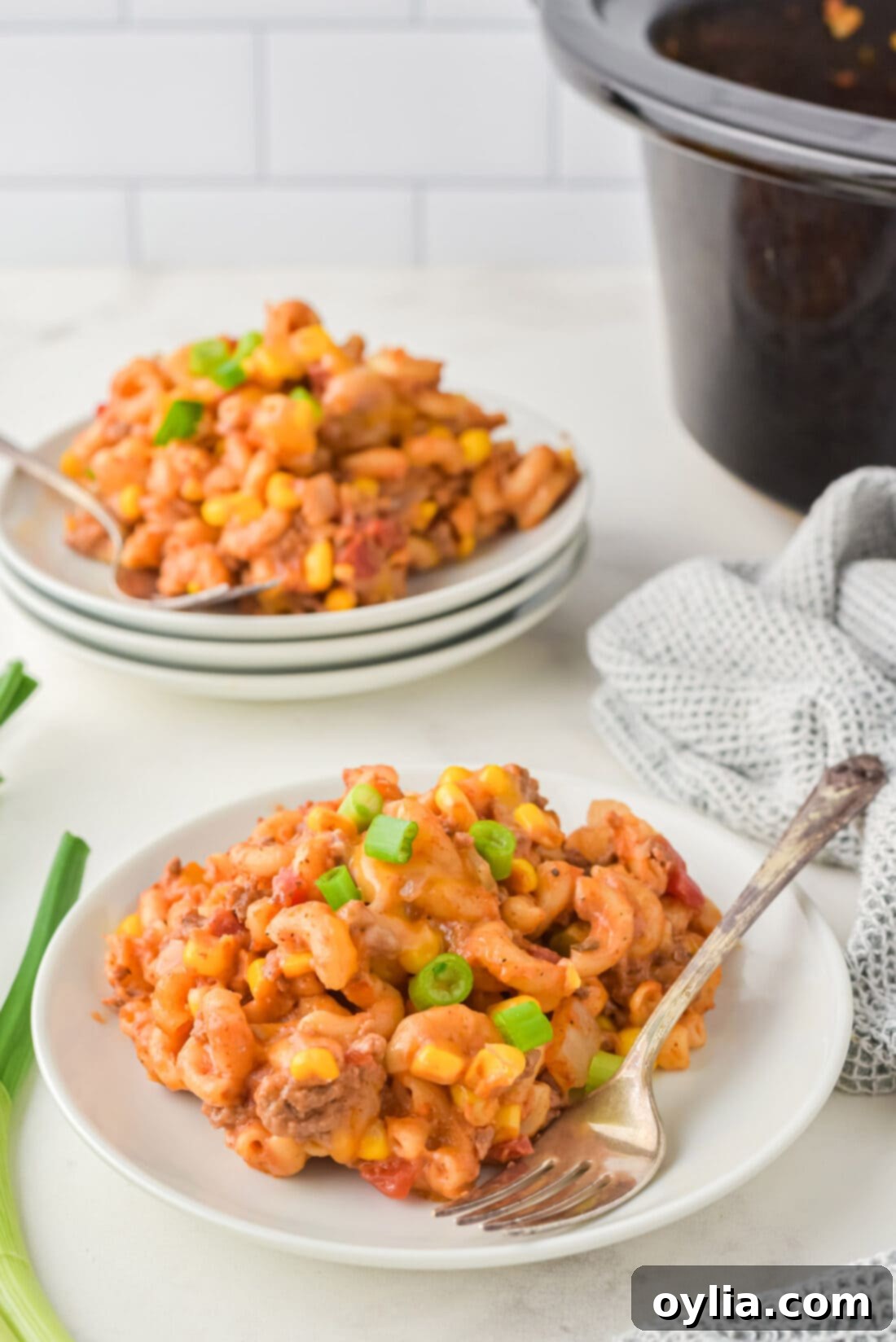 two plates of Crockpot Ground Beef Casserole garnished with green onions