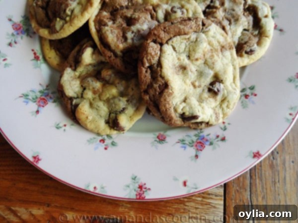 A close up photo of a plate featuring several half classic, half chocolate double stack chocolate chip cookies, demonstrating the marbled effect.